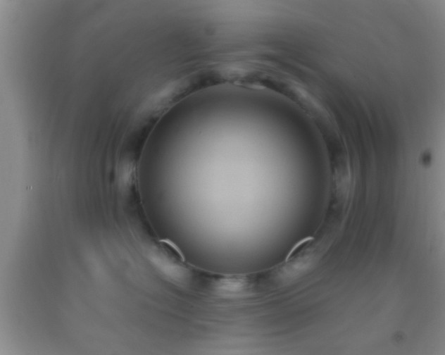 X0000092110574200709191330