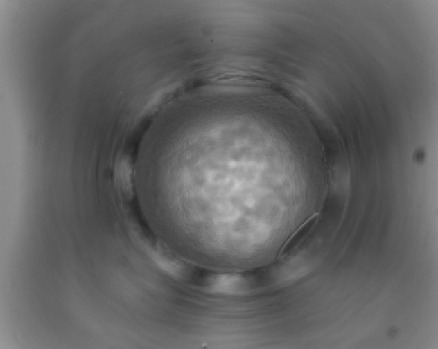 X0000092110575200709191330