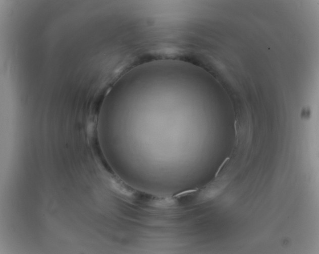 X0000092110576200709191330