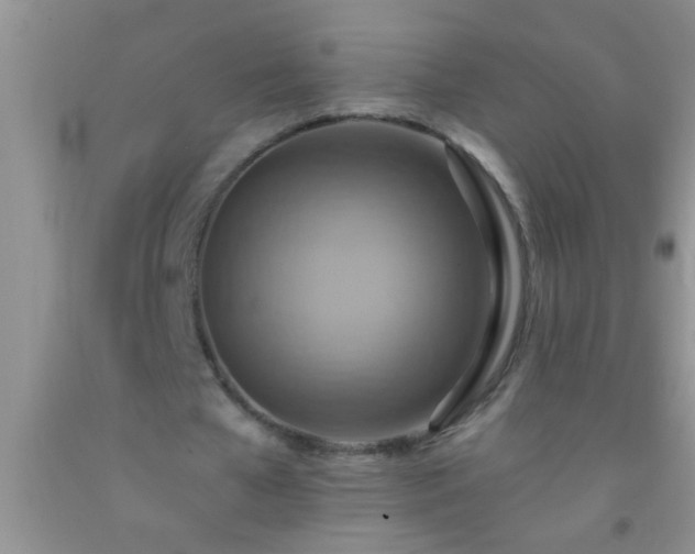 X0000092110577200709191330