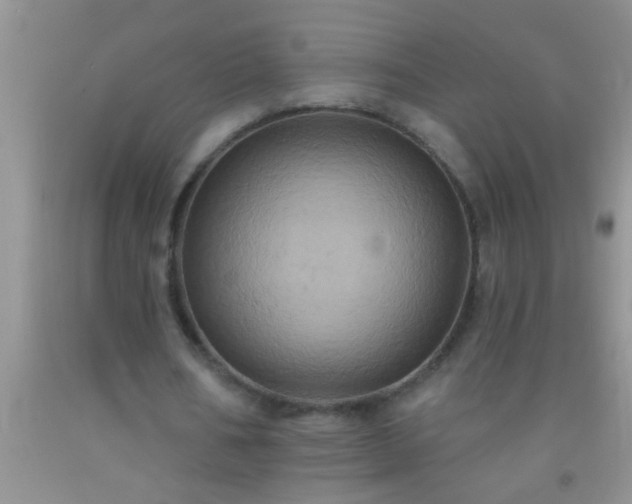 X0000092110578200709191330