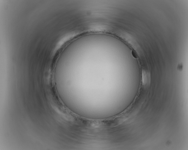 X0000092110579200709191330