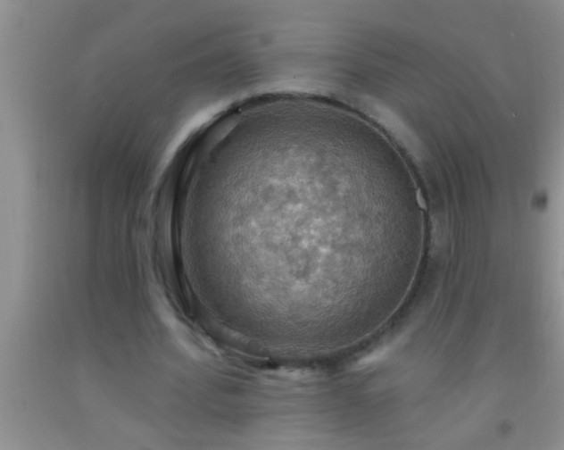 X0000092110580200709191330