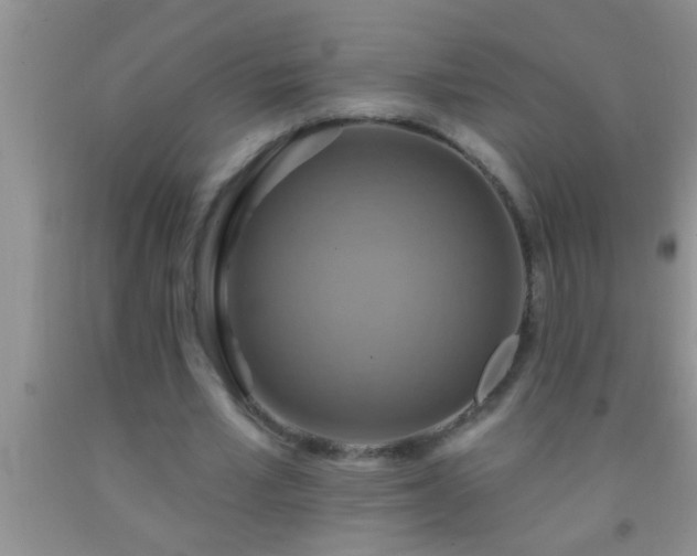 X0000092110581200709191330