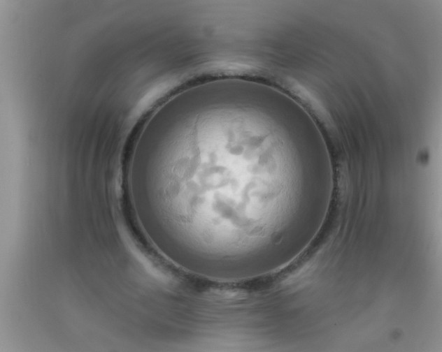 X0000092110582200709191330