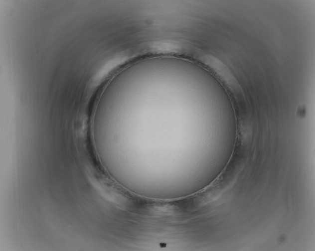 X0000092110583200709191330