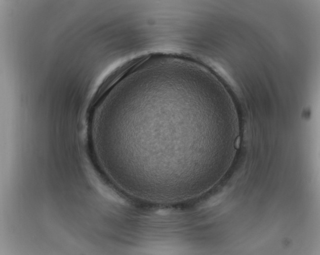 X0000092110584200709191330