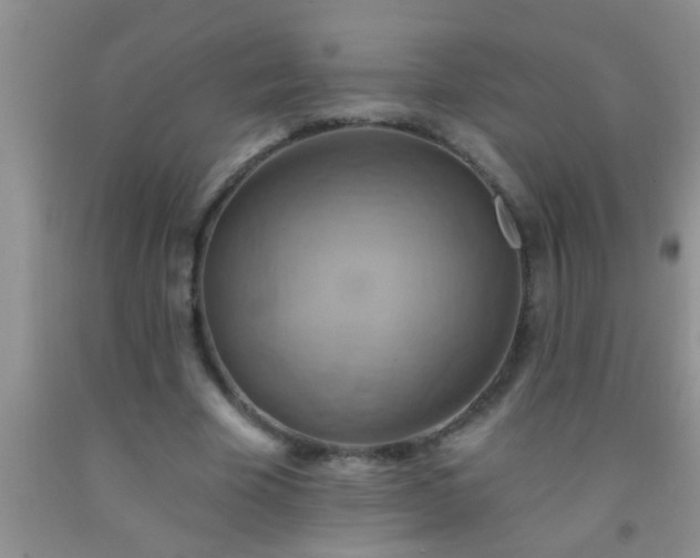 X0000092110585200709191330