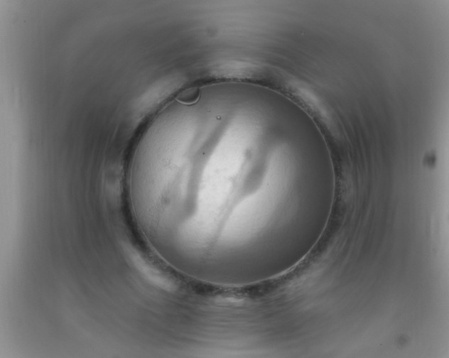 X0000092110586200709191330