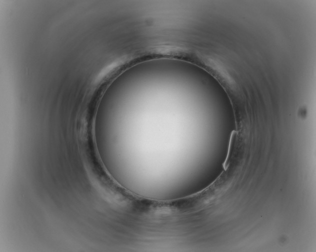 X0000092110587200709191330