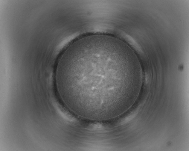 X0000092110588200709191330