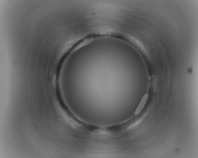 X0000092110589200709191329