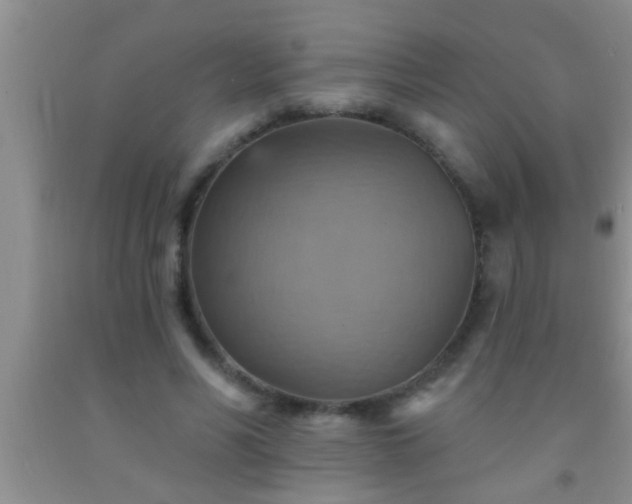 X0000092110590200709191329