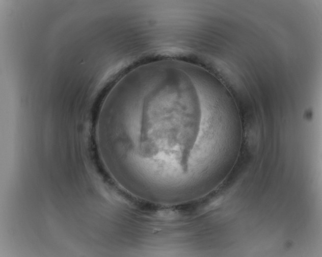 X0000092110591200709191329