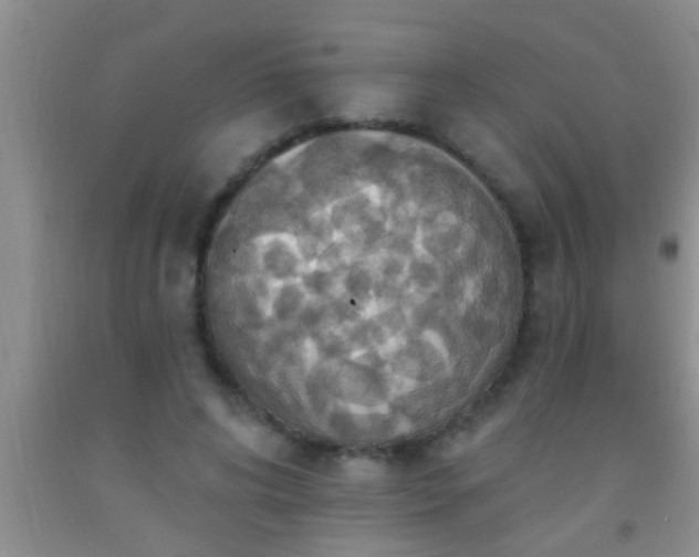 X0000092110592200709191329