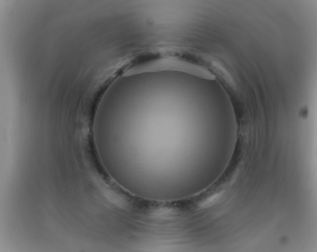 X0000092110593200709191329