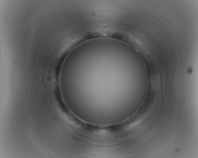 X0000092110594200709191329