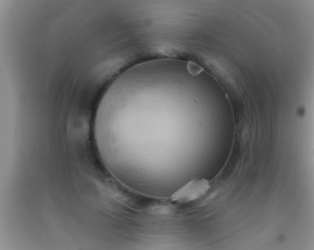 X0000092110595200709191329