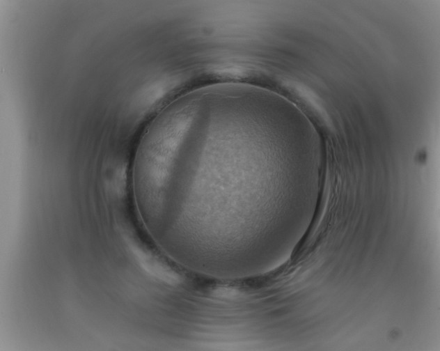 X0000092110596200709191329