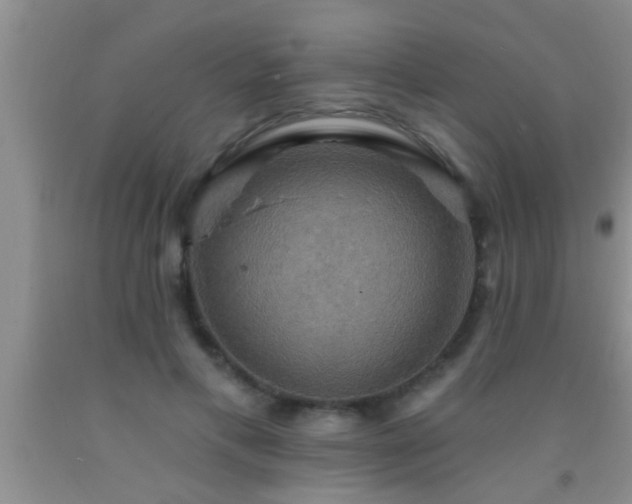 X0000092110597200709191329