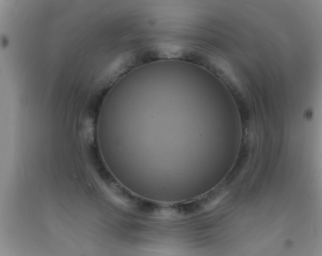 X0000092110598200709191329