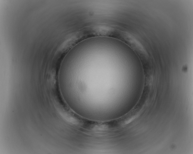 X0000092110599200709191329