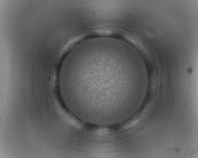 X0000092110600200709191329