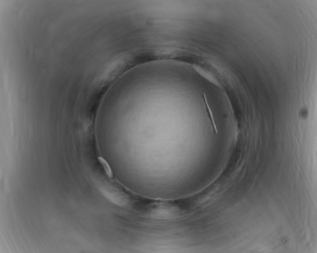 X0000092110601200709191329