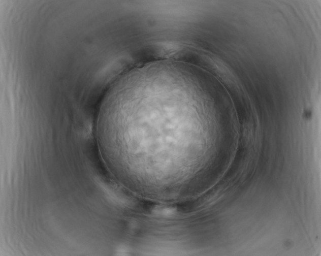 X0000092110602200709191329