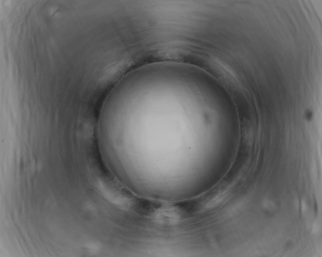 X0000092110603200709191329