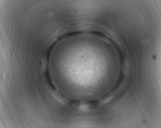 X0000092110604200709191329