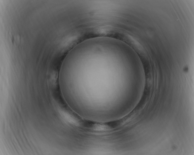 X0000092110605200709191329