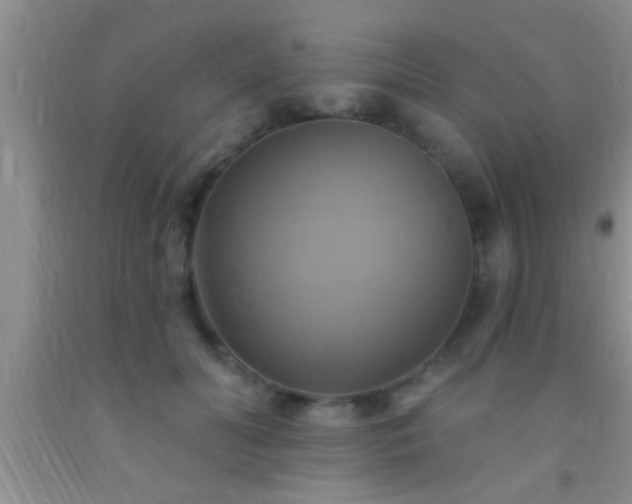 X0000092110606200709191329