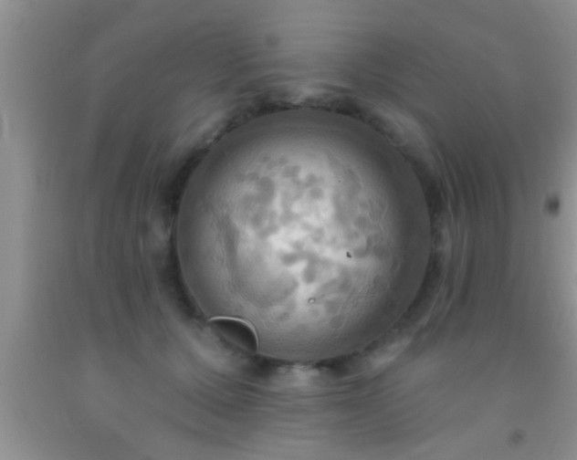 X0000092110607200709191329