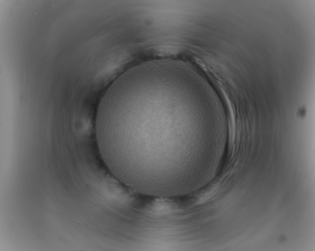 X0000092110608200709191329