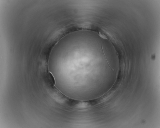 X0000092110609200709191329