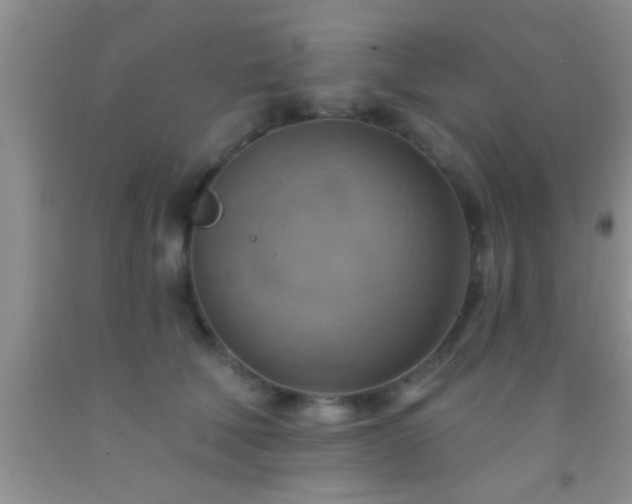 X0000092110610200709191329