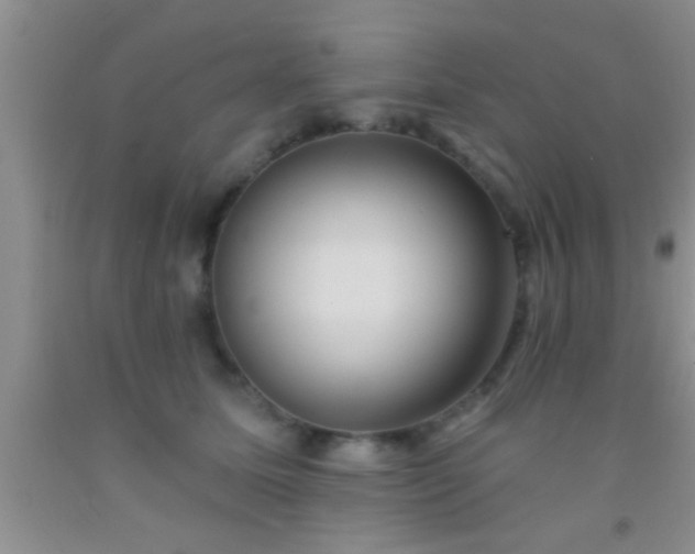 X0000092110611200709191329