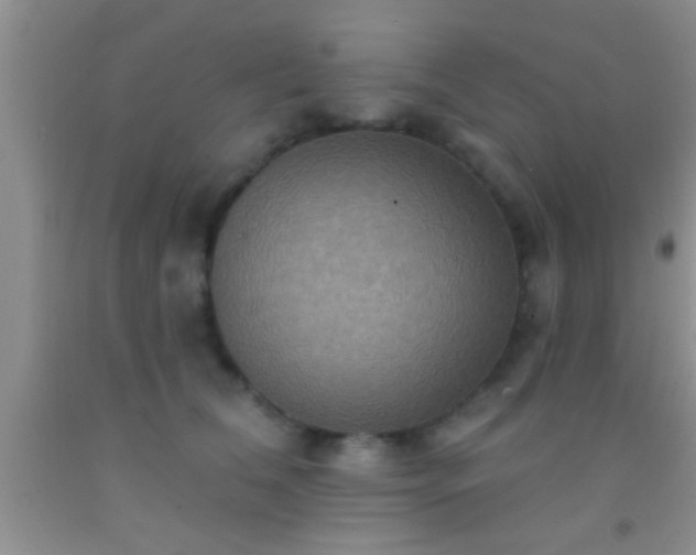 X0000092110612200709191329