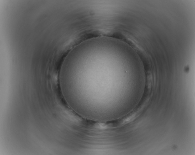 X0000092110613200709191329