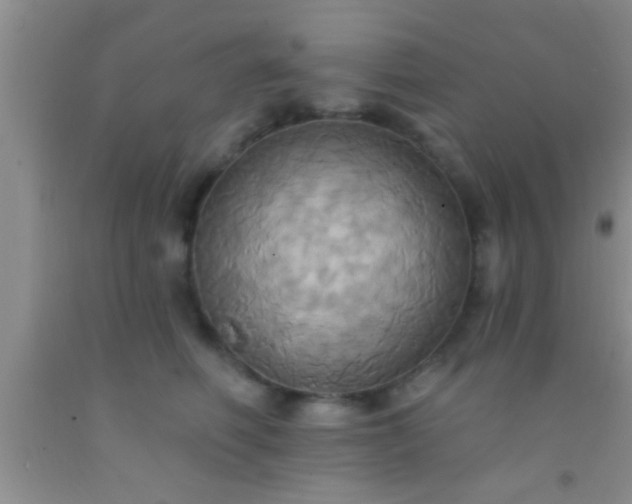 X0000092110614200709191329