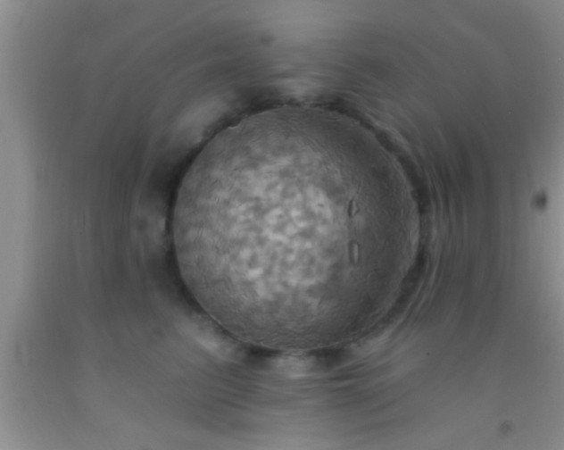 X0000092110615200709191329