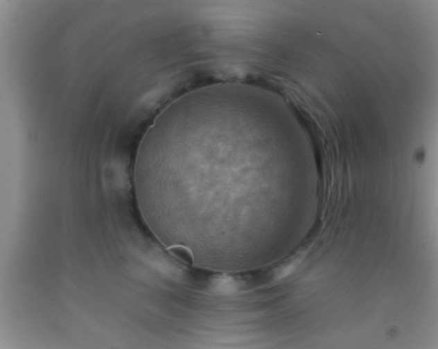 X0000092110616200709191329