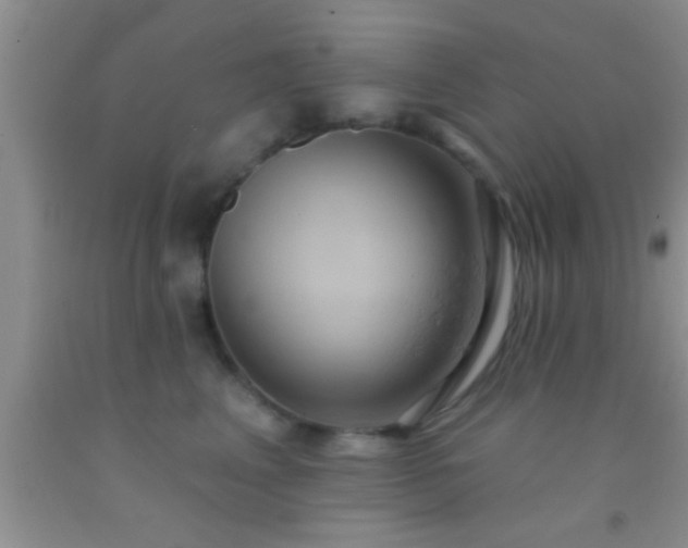 X0000092110617200709191329