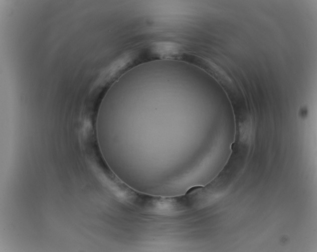 X0000092110618200709191329