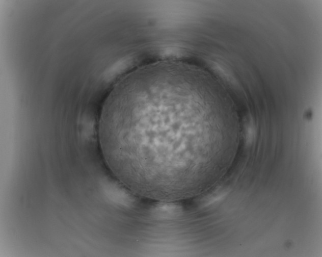 X0000092110619200709191329