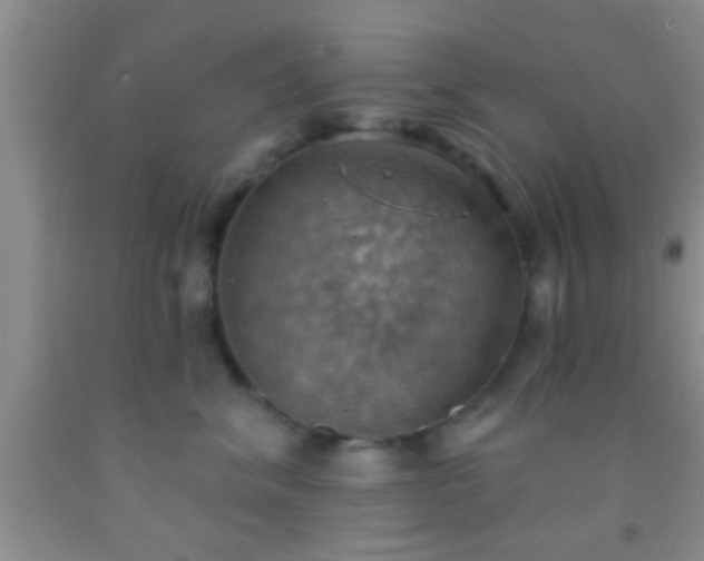 X0000092110620200709191329