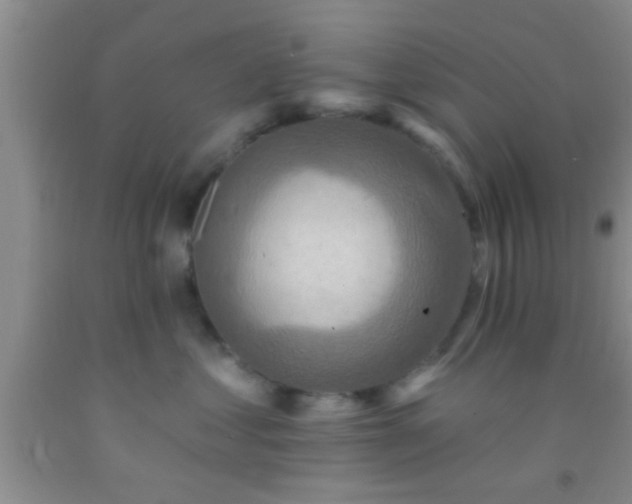 X0000092110621200709191329