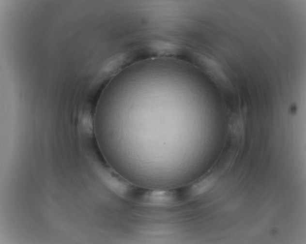 X0000092110622200709191329