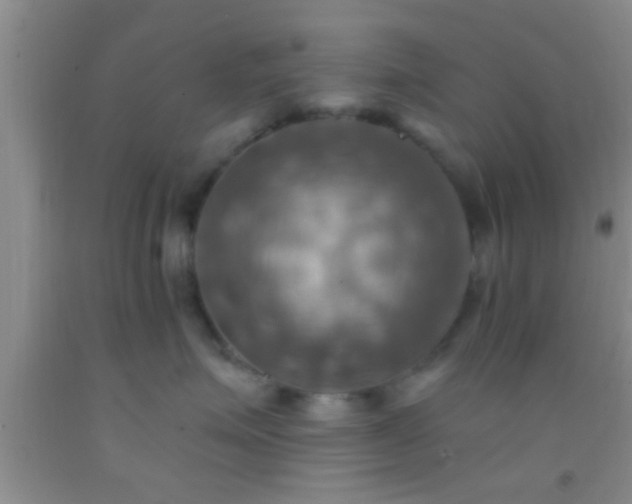 X0000092110623200709191329